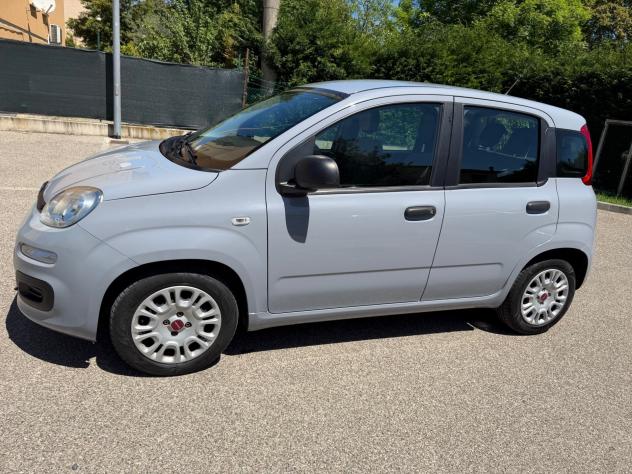 Fiat Panda 1.0 - NEOPATENTATI - 12 MESI DI GARANZIA - - Foto 4