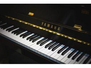 VUOI IMPARARE A SUONARE IL PIANOFORTE ?