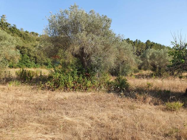 Terreno in vendita a Caltagirone, Santo Pietro - Foto 2