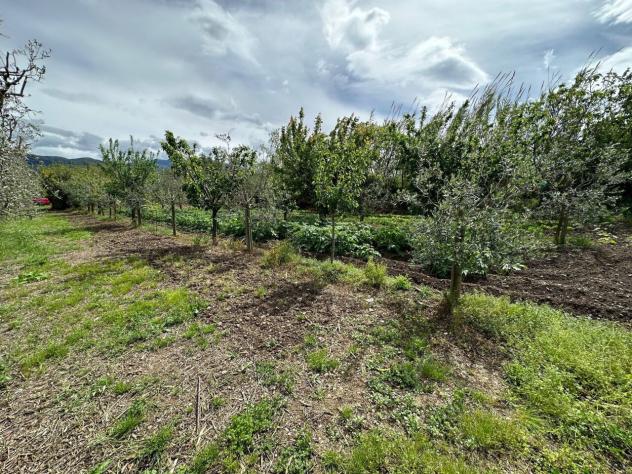 Terreno agricolo in vendita a Castelnuovo Magra 1850 mq Rif: 1127698 - Foto 4