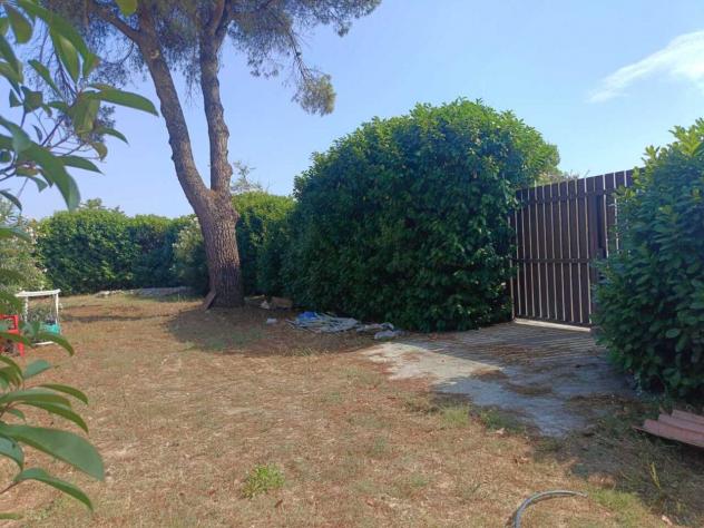 Seminativo in vendita a Cerveteri - Foto 5
