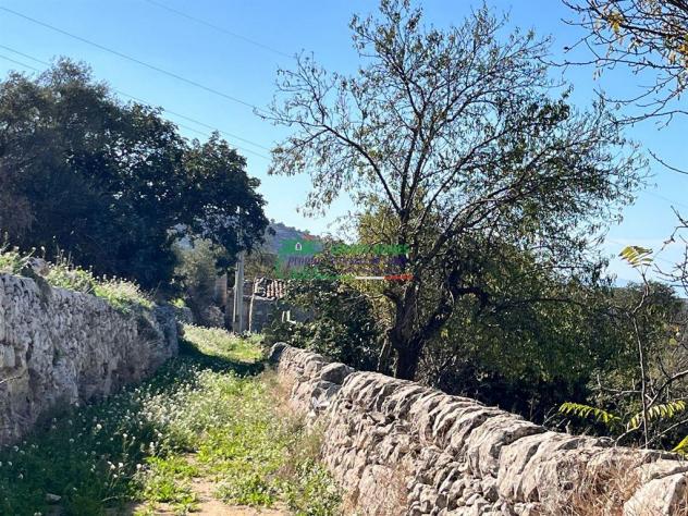 Rif:2527 - Terreno agricolo con accatastamenti rurali in Contrada Crocilla – Comiso (RG) - Foto 2