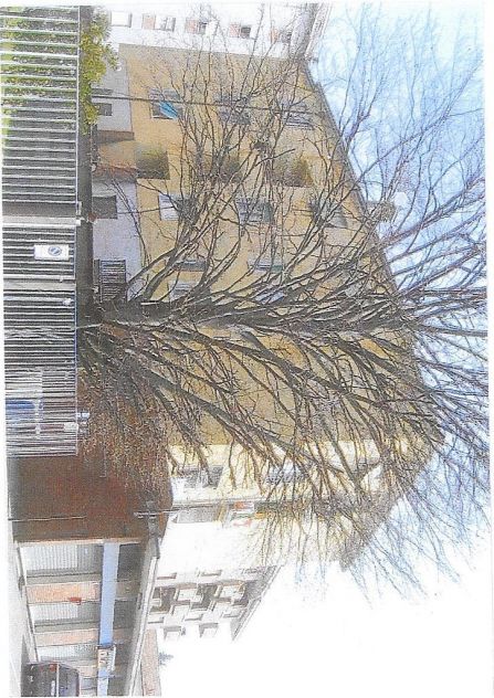 CANTINONE DI 75 MQ. A MEDA VIA L. DA VINCI 25 PER. DI PERSONE - Foto 3