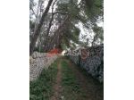 Terreni Agricoli