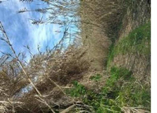 Immobile in asta di 46179 m² in vendita a Montegiorgio - Foto 2