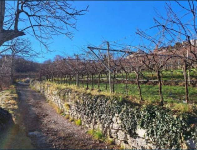 Immobile in asta di 1709 m² in vendita a Rovereto - Foto 18