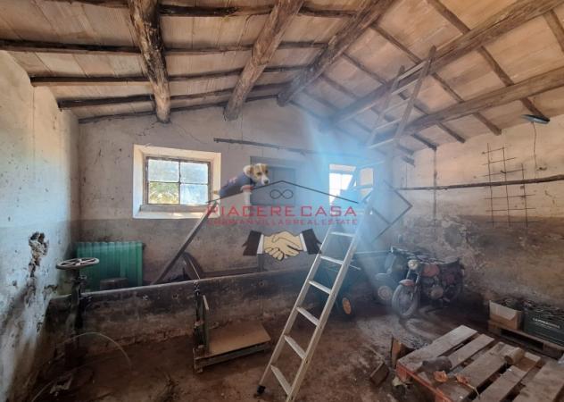 Lubriano - Sul confine tra Orvieto e Lubriano, casale con annessi e 11 ha di terreno in vendita. - Foto 7