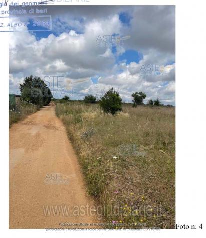 IMMOBILI-ALTRA CATEGORIA-Contrada Martucci, 70014 Conversano BA, Italia - Foto 4