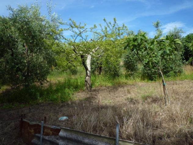 Terreno agricolo in vendita a Chiecinella - Palaia 9000 mq Rif: 455004 - Foto 6