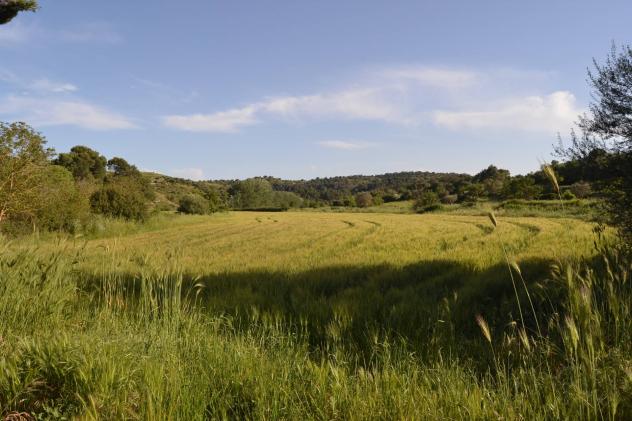 Terreno in vendita a Rosolini