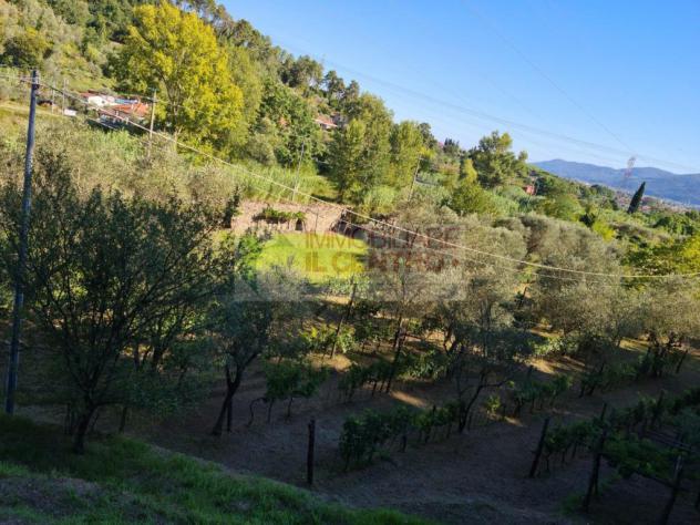 Terreno agricolo di 13.000 mq. - Foto 3