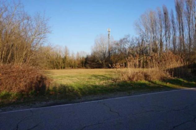 Immobile in asta di 58350 m² in vendita a Sermide e Felonica - Foto 2