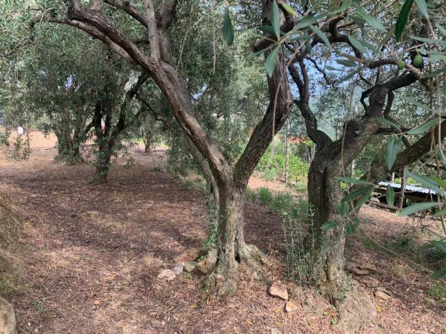 Terreno edificabile in vendita a Vado Ligure - Foto 13