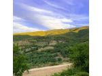 Borgo Solamore