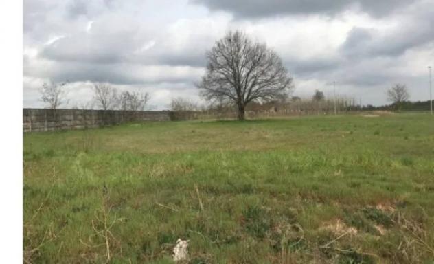 Immobile in asta di 9900 m² in vendita a Canneto sull'Oglio - Foto 8