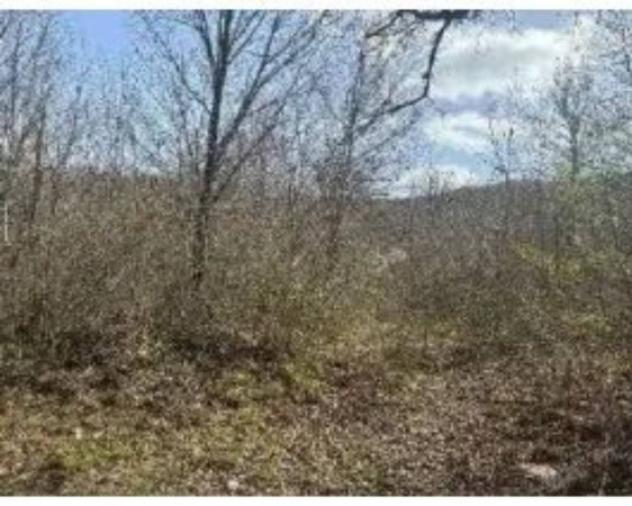 Immobile in asta di 58450 m² in vendita a Civitanova del Sannio - Foto 4
