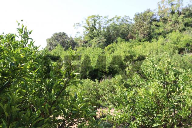 Terreno in vendita a Mascali, Santa Venera - Foto 18