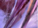 Pelle nappa laminata colore Lilla
