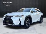 Lexus UX UX 250h 2.0 Premium 4wd cvt my20