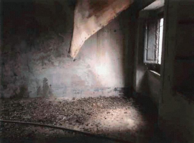 Immobile in asta di 88 m² con più di 5 locali in vendita a Chiaravalle Centrale - Foto 5