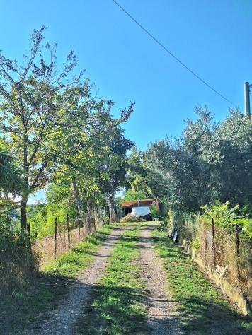 Indipendente in vendita a Penne