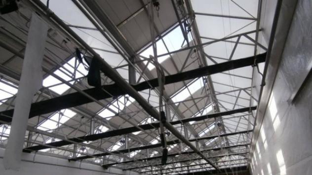 Immobile in asta di 5683 m² in vendita a Castenaso - Foto 10