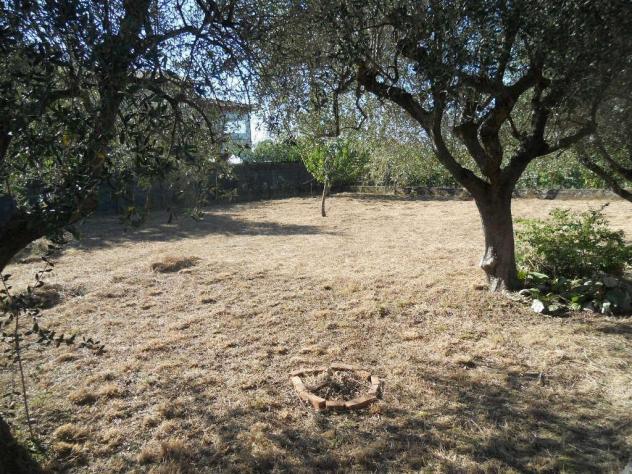 Villa in vendita a Luni 240 mq Rif: 1340981 - Foto 5