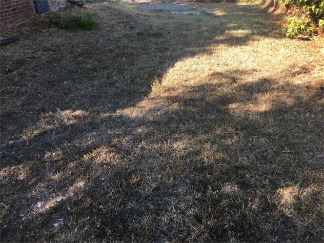 Trtf badi 205 - Porzione di Casa a Altopascio - Badia Pozzeveri - Foto 15