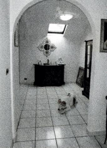 Immobile in asta di 67 m² in vendita a Perugia - Foto 7