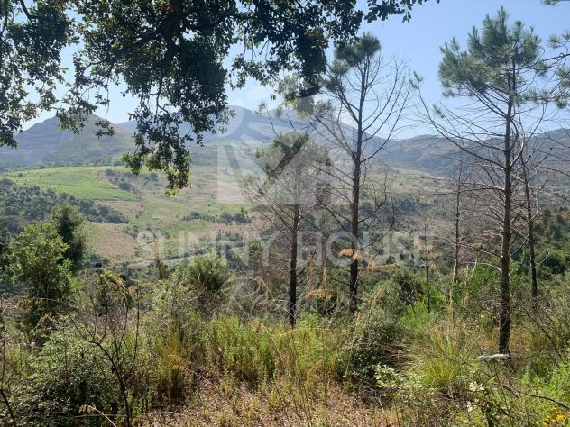 Terreno Agricolo con Magazzino in Vendita a 6 km da Cefalù - Foto 3