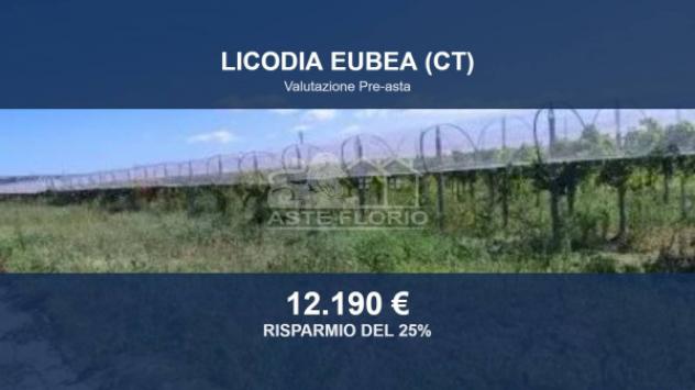 Immobile in asta di 15000 m² in vendita a Licodia Eubea