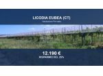 Immobile in asta di 15000 m² in vendita a Licodia Eubea