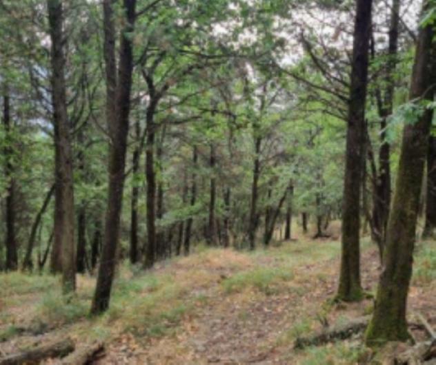 Immobile in asta di 19 m² in vendita a Montemurlo - Foto 13