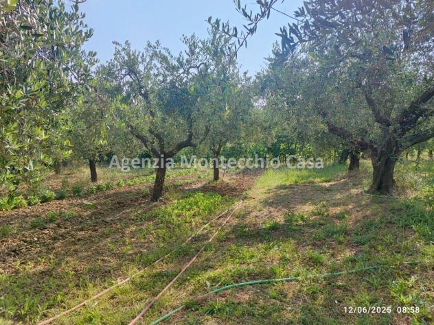 Occasione unica per amanti della natura e della campagna! - Foto 3