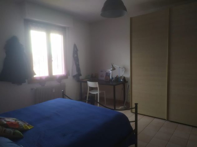 Singola studentessa - Foto 2