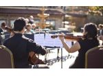 Quartetto d'archi per matrimoni e cerimonie a Reggio Emilia