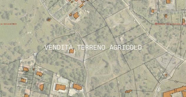 Agricolo in vendita a Camporotondo Etneo
