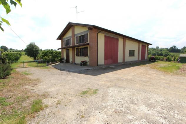 Vigneto in vendita a Valsamoggia - Foto 3