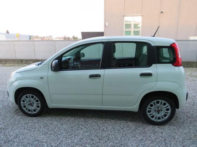 FIAT Panda 1.2 Easy S&S 1200 C.C. rif. 23513160 - Foto 2