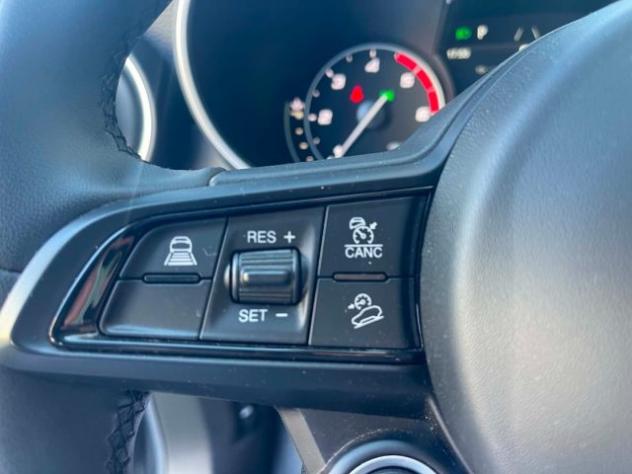ALFA ROMEO Stelvio 2.2 Turbodiesel 160 CV AT8 RWD Business rif. 24058764 - Foto 5