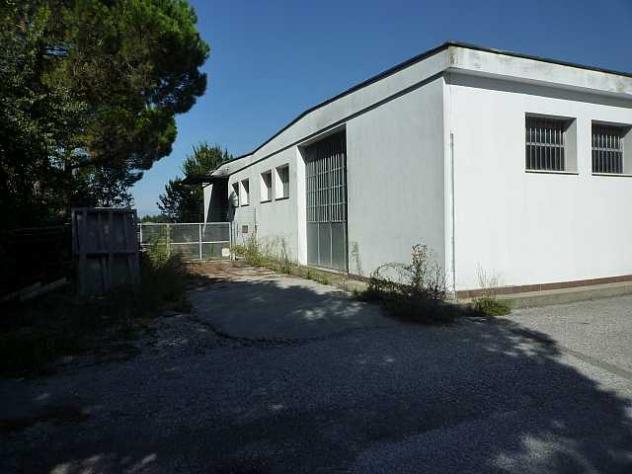 Capannone industriale in affitto a Il Chiesino - Pontedera 640 mq Rif: 910191 - Foto 3