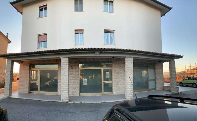 C2841SP - Negozio a Todi - Foto 11