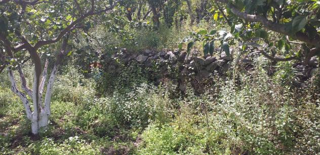 Terreno in vendita a Fiumefreddo di Sicilia - Foto 7