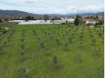 Terreno agricolo in vendita a Luni Antica - Luni 5100 mq  Rif: 1265405