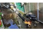 Motozzappa 4 tempi Benzina Sandri Garden 5.5 MOTORE LONCIN