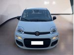 FIAT Pandina Panda My25 1.0 70cv Hybrid Panda