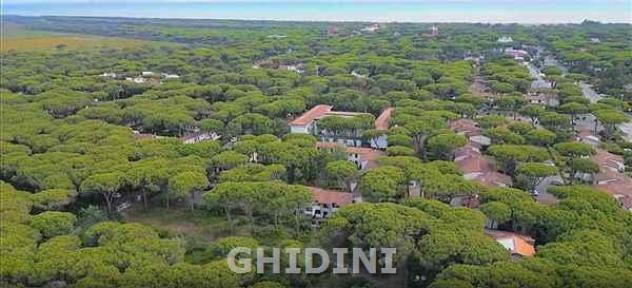 VILLA A SCHIERA di 4 vani e di 70 mq (GROSSETO - CENTRO) rif. 2564.01M