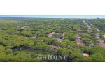 VILLA A SCHIERA di 4 vani e di 70 mq (GROSSETO - CENTRO) rif. 2564.01M