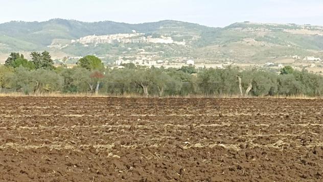 Rustico in vendita a Chiaramonte Gulfi - Foto 18
