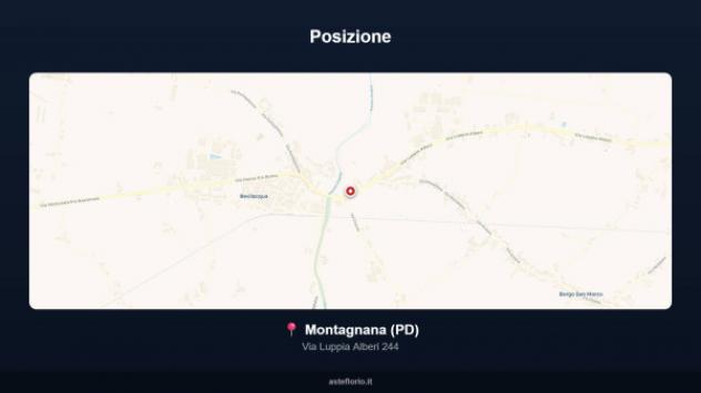 Immobile in asta di 214 m² con più di 5 locali e box auto in vendita a Montagnana - Foto 14
